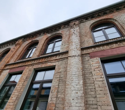 Rehau Synego Saluds logi